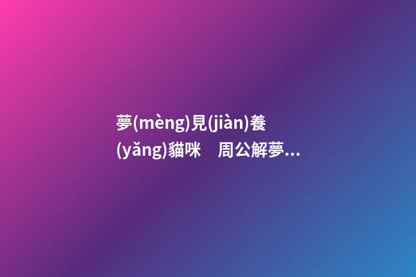 夢(mèng)見(jiàn)養(yǎng)貓咪　周公解夢(mèng)之夢(mèng)到養(yǎng)貓咪